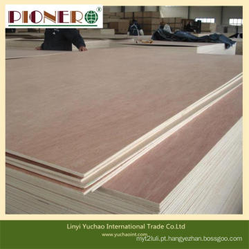 Venda quente Bintangor Okoume Poplar Pine Teak Contraplacado Comercial